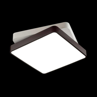 Потолочный светодиодный светильник Lumion Ledio Agatha 4511/72CL