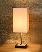 https://vokruglamp.ru/upload/iblock/3a6/nastolnaya_lampa_lucide_duna_touch_39502_01_31_1.jpeg