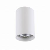 https://img.divine-light.ru/0/428/000428556_800_800.jpg