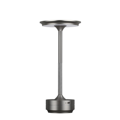 Настольная лампа Odeon Light 5035/6TL