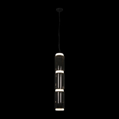 Подвесной светодиодный светильник Loft IT Noctambule 10194/L
