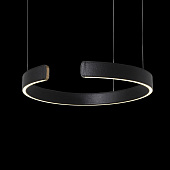 https://vokruglamp.ru/upload/iblock/885/podvesnoy_svetodiodnyy_svetilnik_loft_it_ring_10025_400_black_1.jpeg