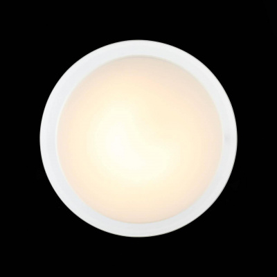 Потолочный светодиодный светильник ST Luce Botone SL466.512.01