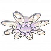 Fri, 12 Feb 2021 18:20:25 GMT