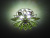 Sat, 04 Apr 2020 03:08:09 GMT