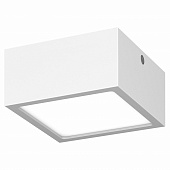 https://img.divine-light.ru/0/427/000427823_800_800.jpg