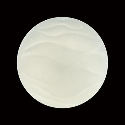 Потолочный светодиодный светильник Sonex Erica 2090/ML