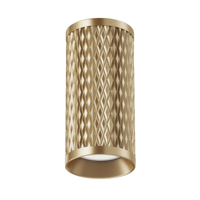 Накладной светильник Maytoni Technical C036CL-01G