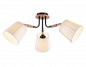 https://img.divine-light.ru/1/999/001006976_800_800.jpg