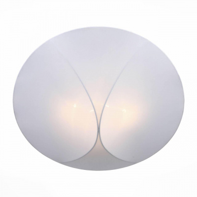 Накладной светильник ST Luce Tonico SL360.552.04