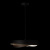 https://vokruglamp.ru/upload/iblock/123/i5rad8xhd3duo395hs04q39mod7wfqc7/podvesnaya_lyustra_loft_it_petale_10256p_black_4.jpg