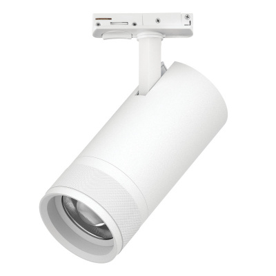 Светильник на шине Lightstar C4306SS