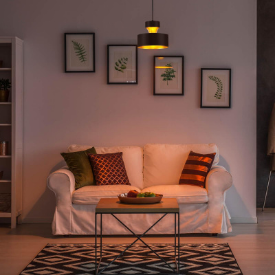 Подвесной светильник Eurosvet 50171/1 черный