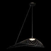https://vokruglamp.ru/upload/iblock/04a/podvesnoy_svetilnik_loft_it_tressage_10127_760_black_1.jpeg