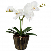 Sun, 06 Dec 2020 01:38:32 GMT