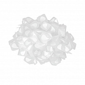 https://img.divine-light.ru/1/683/001683107_800_800.jpg