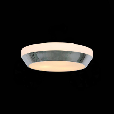 Потолочный светильник ST Luce Bagno SL469.502.03