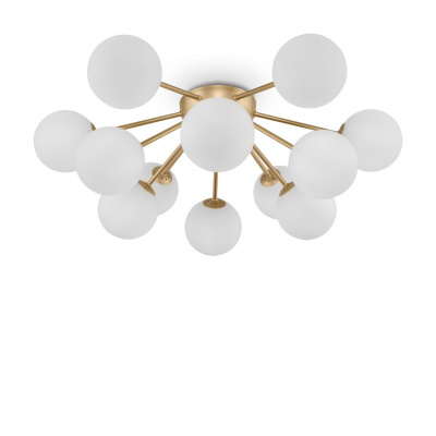 Накладная люстра Freya FR5120CL-12G