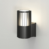 https://img.divine-light.ru/1/489/001489848_800_800.jpg