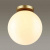 https://vokruglamp.ru/upload/iblock/ac2/v7f933nrffnhm9u6pnyf4410dx9v97xb/potolochnyy_svetilnik_odeon_light_hightech_bosco_4248_1c_3.jpeg