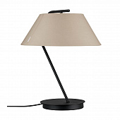 Настольная лампа Paulmann Narve 79723 фото