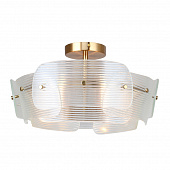 https://img.divine-light.ru/1/595/001595742_800_800.jpg