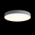 https://vokruglamp.ru/upload/iblock/590/potolochnyy_svetodiodnyy_svetilnik_loft_it_axel_10002_24_white_6.jpeg
