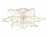 https://img.divine-light.ru/0/690/000690066_800_800.jpg