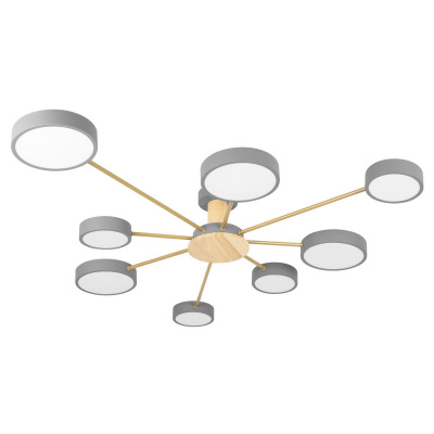 Накладной светильник LOFT IT 10316/8 Grey