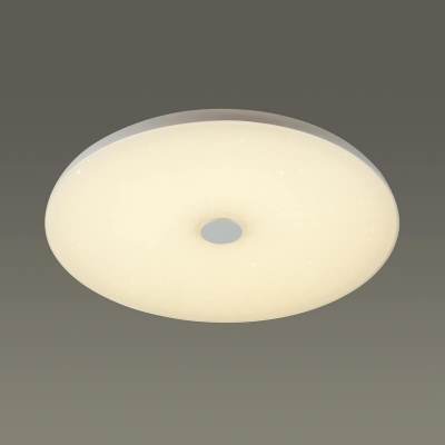 Потолочный светодиодный светильник Sonex Roki muzcolor Vasta led 4629/CL