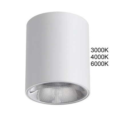 Накладной светильник Odeon Light 7139/12CL Накладной светильник Odeon Light 7139/12CL