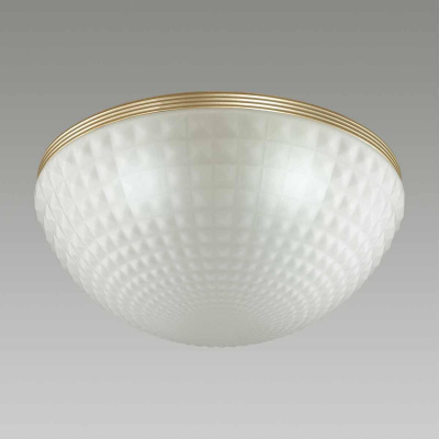 Потолочный светильник Odeon Light Modern Malaga 4936/4C