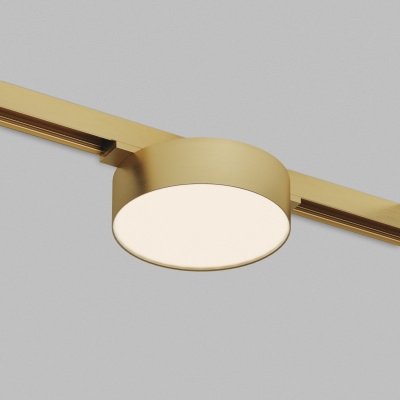 Светильник на шине Denkirs DK5962-SB