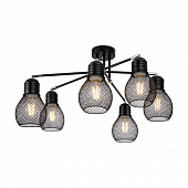 https://img.divine-light.ru/1/680/001680851_800_800.jpg