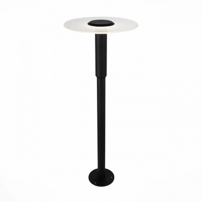 Уличный светодиодный светильник ST Luce SL099.405.01