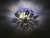 Sat, 04 Apr 2020 03:08:09 GMT