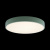 https://vokruglamp.ru/upload/iblock/0b3/potolochnyy_svetodiodnyy_svetilnik_loft_it_axel_10002_24_green_4.jpeg