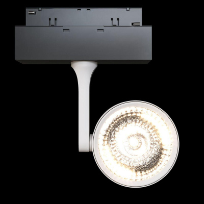 Трековый светодиодный светильник для магнитного шинопровода Maytoni Track lamps TR024-2-10W3K