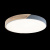https://vokruglamp.ru/upload/iblock/d68/potolochnyy_svetodiodnyy_svetilnik_loft_it_axel_10004_36_grey_6.jpeg