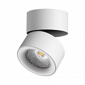 https://img.divine-light.ru/0/710/000710396_800_800.jpg