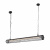 Подвесной светильник Loft IT Office Loft1702BK