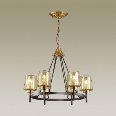 Подвесная люстра Odeon Light Dogana 4656/6