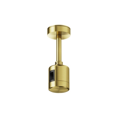 Подвесной комплект Maytoni Technical TRA156C-IPC1-BS