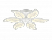 https://img.divine-light.ru/0/690/000690063_800_800.jpg