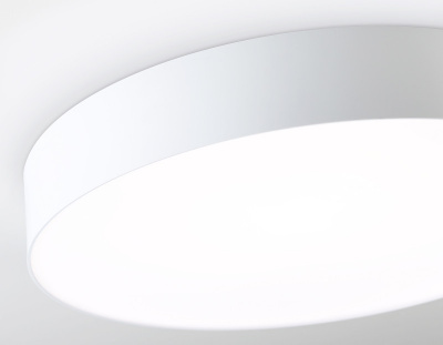 Накладной светильник Ambrella Light FZ1355