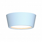 https://img.divine-light.ru/1/564/001564583_800_800.jpg
