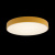 https://vokruglamp.ru/upload/iblock/349/potolochnyy_svetodiodnyy_svetilnik_loft_it_axel_10002_24_yellow_5.jpeg