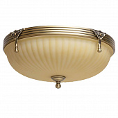 Fri, 22 Jan 2021 08:56:23 GMT