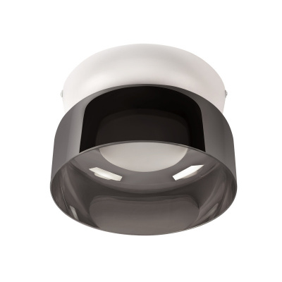 Накладной светильник LOFT IT 10466 Smoke