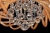 https://vokruglamp.ru/upload/iblock/c7a/potolochnyy_svetilnik_lumina_deco_maestus_ldc_9808_450_1.jpeg